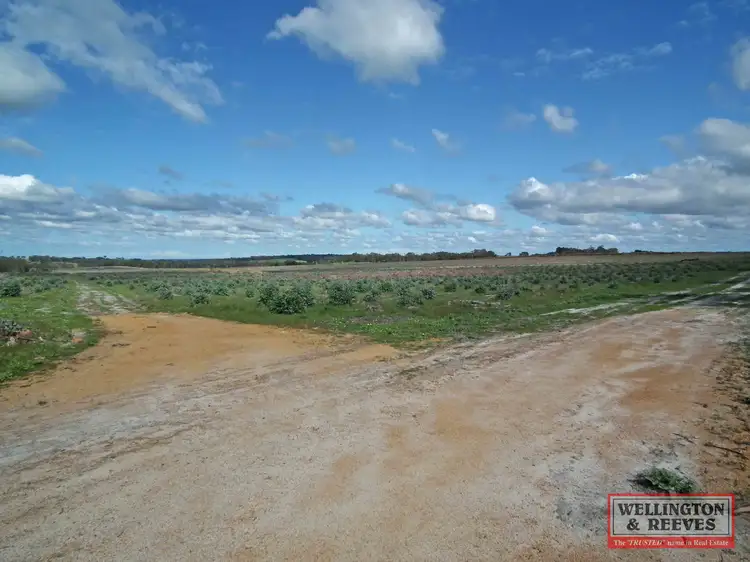 Third view of Homely rural property listing, Lot 5622 St Werburghs Road, Mount Barker WA 6324