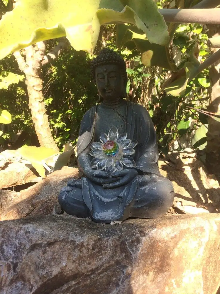 Fifth view of Homely land listing, 51 Claytons Road, Lowmead QLD 4676