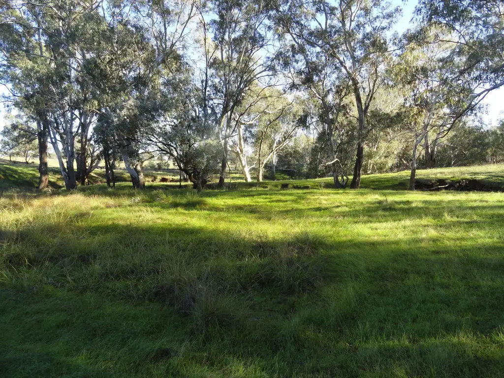 Main view of Homely rural property listing, Lot 5 Williams Road, Barnawartha VIC 3688