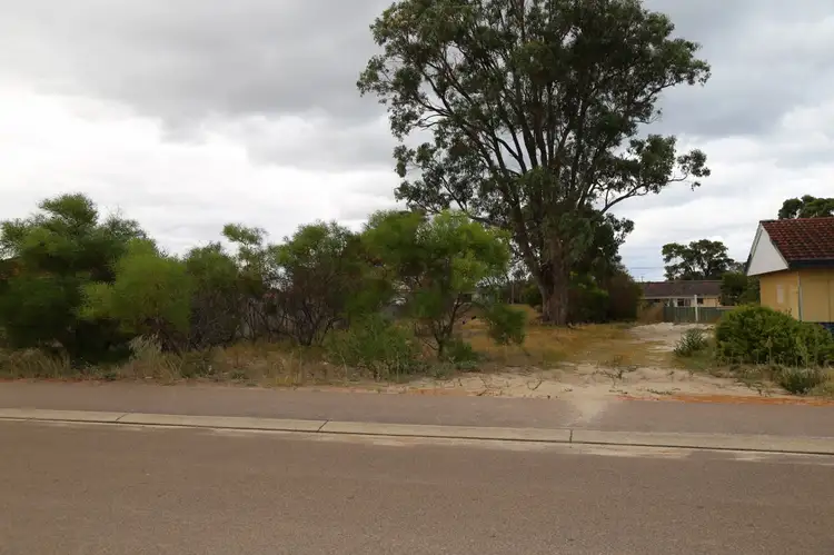 Lot 134 Winston Way, Nulsen WA 6450