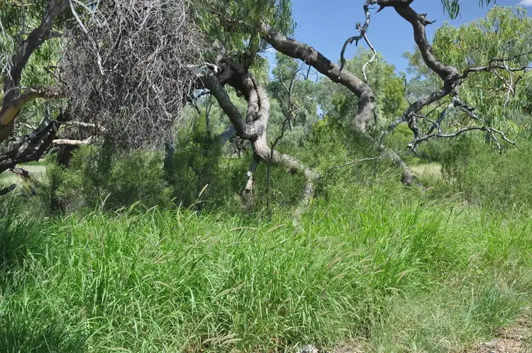 Fourth view of Homely rural property listing, Gibson P/ship "GUNNADORAH", Quilpie QLD 4480