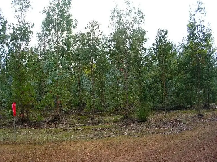 Third view of Homely rural property listing, Lot 2 Cormint Road, Manjimup WA 6258
