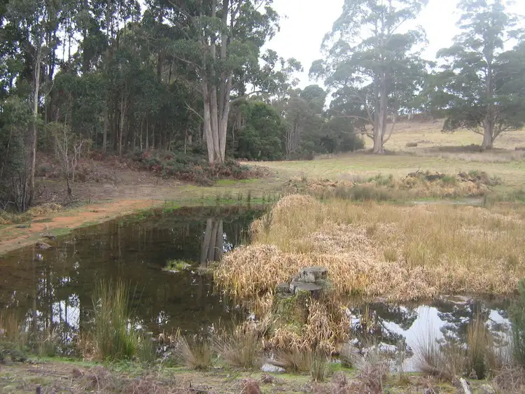 Third view of Homely rural property listing, 64 Loyetea Road, South Riana TAS 7316