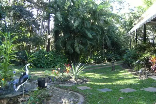 Fourth view of Homely rural property listing, 5236 Abergowrie Road, Abergowrie QLD 4850