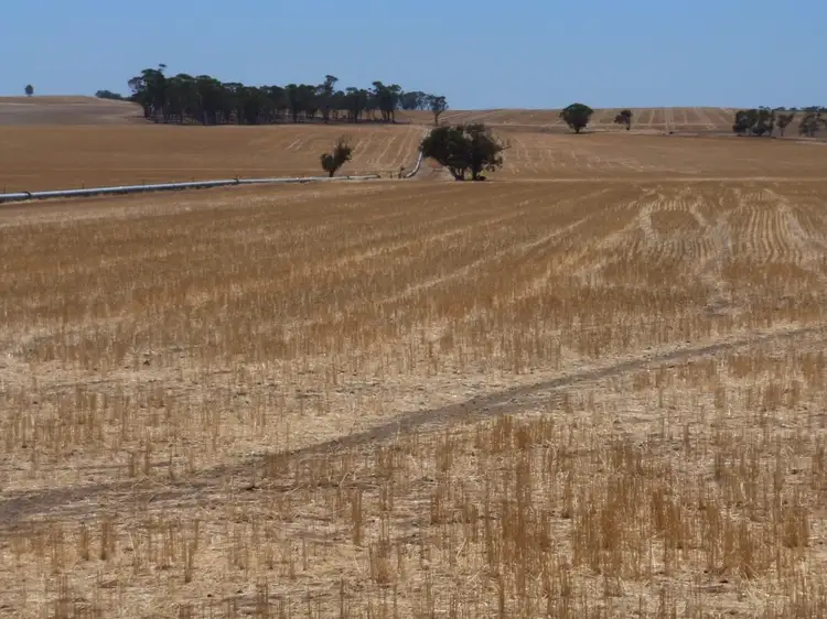 Sixth view of Homely rural property listing, 462 O'Neill Rd, Southern Brook via, Northam WA 6401