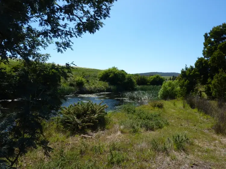 Fourth view of Homely house listing, 7 Moorpark Court, Forcett TAS 7173