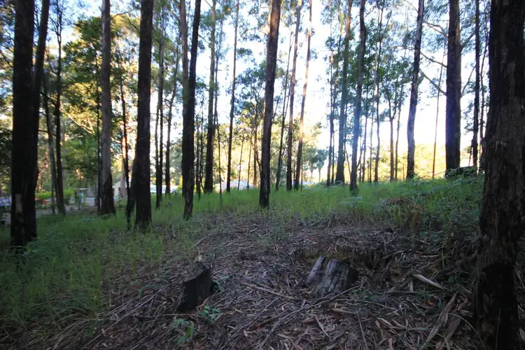 Fourth view of Homely land listing, 25 Caringal Drive, Middle Brother NSW 2443