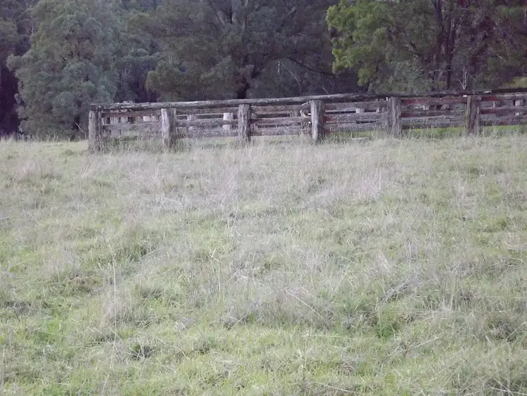 Fourth view of Homely rural property listing, 317 GARNETS TRACK / JARRAMOND, Orbost VIC 3888