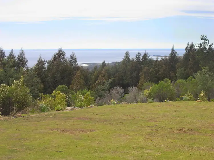 0 Mount Elephant Road, Gray TAS 7215