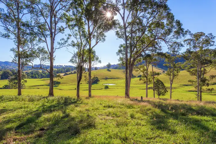 Third view of Homely rural property listing, "Kildare" 258 Mimi Creek Road, Firefly NSW 2429