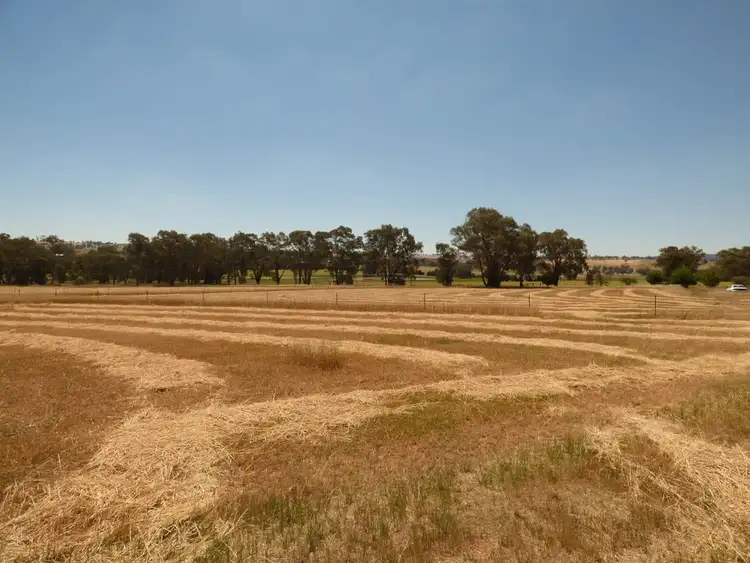 Fifth view of Homely land listing, 573 Wirrimah Road, Wirrimah NSW 2803