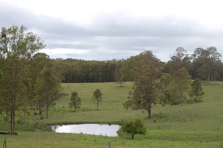 Sixth view of Homely rural property listing, 1158 Dyraaba Road, Dyraaba NSW 2470