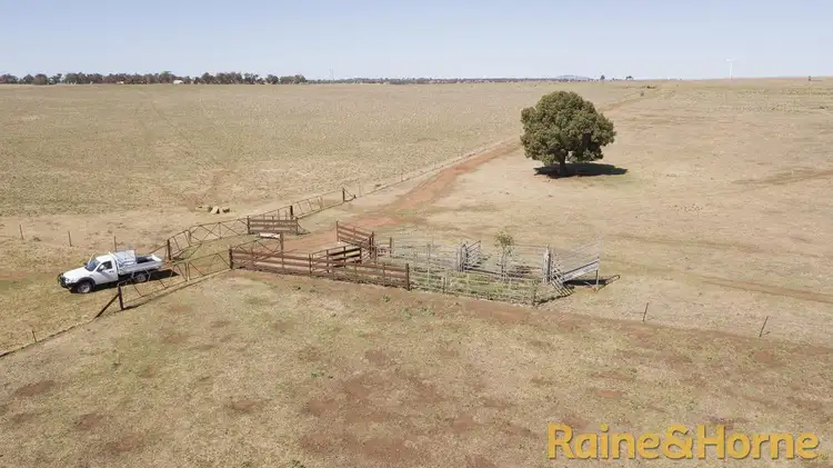 Seventh view of Homely rural property listing, 229 Combo Road, Geurie NSW 2818