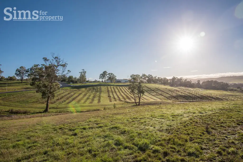 Main view of Homely land listing, 5 Bevel Court, Youngtown TAS 7249