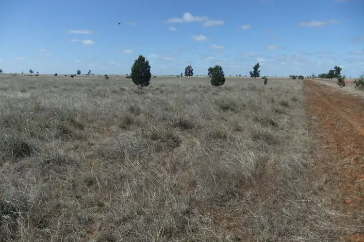 Second view of Homely rural property listing, "Trelawn" Wild Horse Tank Road, Merriwagga NSW 2652