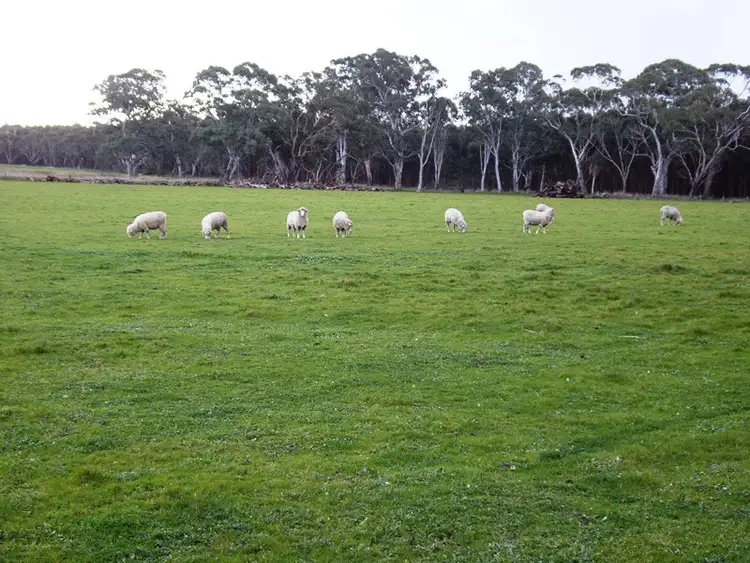 Second view of Homely rural property listing, 599 Fullertons Road, Poolaijelo VIC 3312