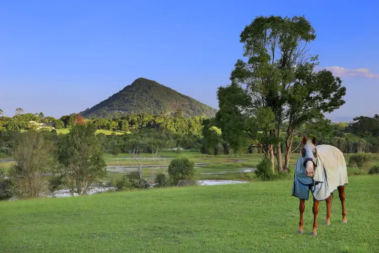 Second view of Homely house listing, 2 Pine Tree Drive, Lake Macdonald QLD 4563