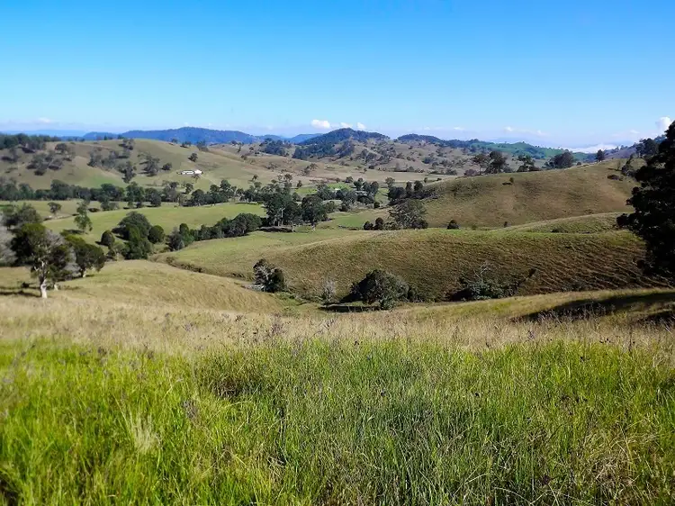 Fifth view of Homely rural property listing, 137 Wallanbah Road, Gloucester NSW 2422