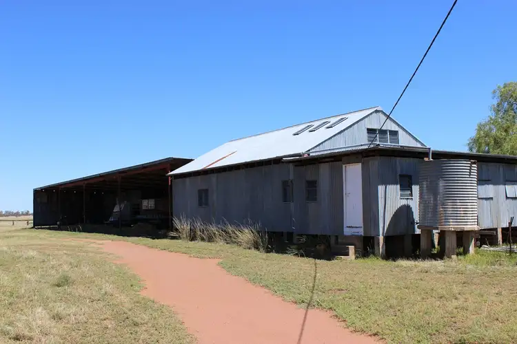 Sixth view of Homely rural property listing, Raheen Coonamble, Baradine NSW 2396