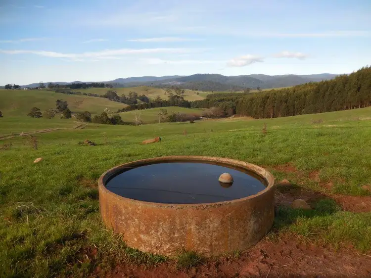Sixth view of Homely rural property listing, 31315 TASMAN HIGHWAY, Winnaleah TAS 7265