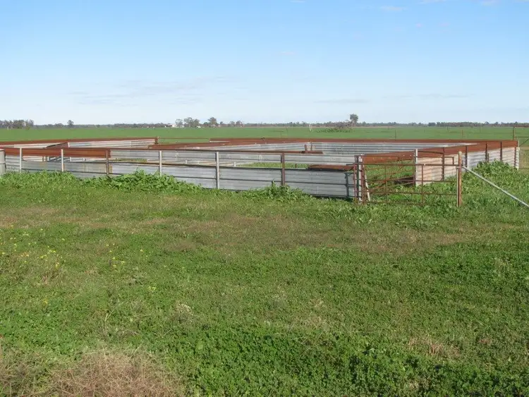 Fifth view of Homely rural property listing, 497 Nuable Road, Bohena Creek NSW 2390