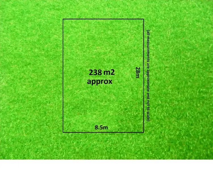 Address available on request