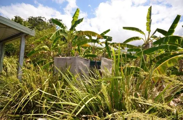 Sixth view of Homely land listing, 137 - 147 Somerset Drive, Miallo QLD 4873