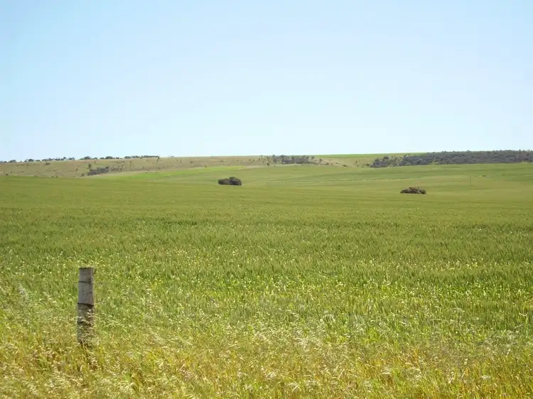 Second view of Homely land listing, Sect 281 Butler rd, Tumby Bay SA 5605