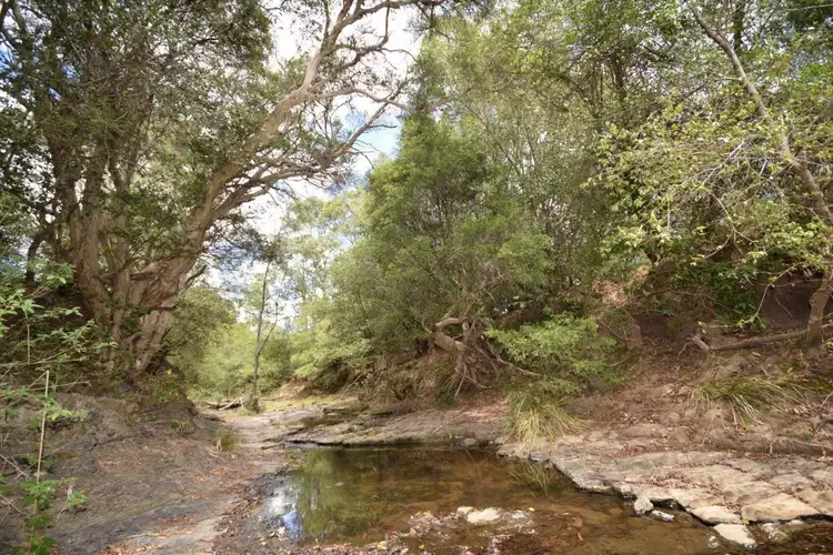 Seventh view of Homely rural property listing, 152 Parma Road, Parma NSW 2540