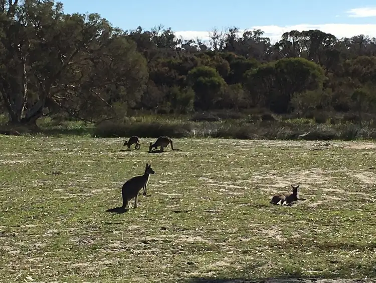Sixth view of Homely land listing, 4 Barrington Approach, Lakelands WA 6180
