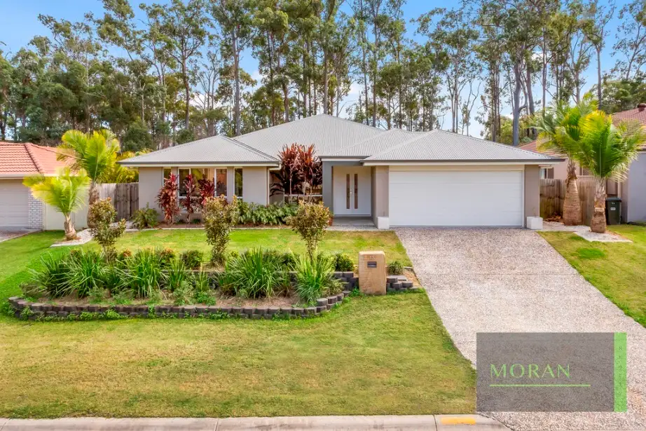 Main view of Homely house listing, 13 Banbrook Court, Molendinar QLD 4214