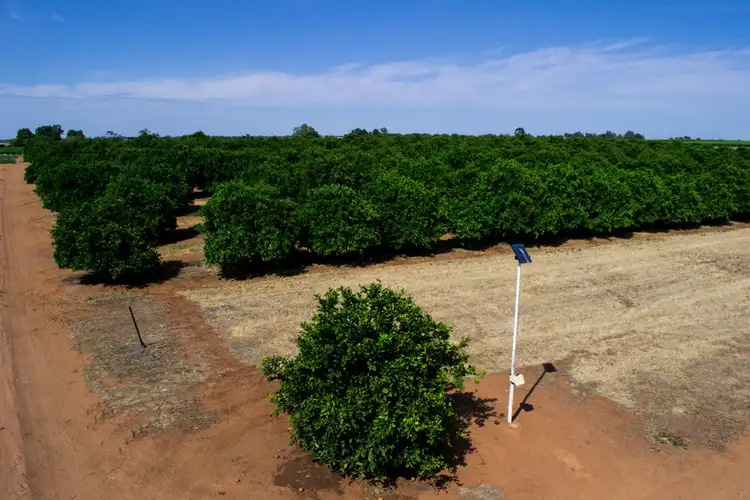 Third view of Homely land listing, - Derrick Road, Loxton SA 5333