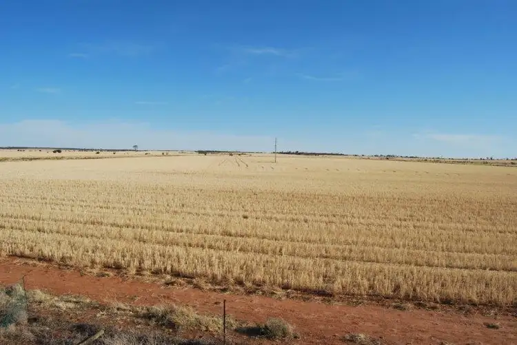 Fourth view of Homely house listing, Lot 8977 Rutter Road, Merredin WA 6415