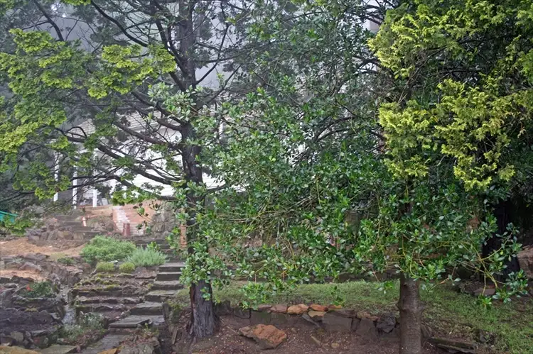 Fourth view of Homely house listing, 120 Great Western Highway, Wentworth Falls NSW 2782