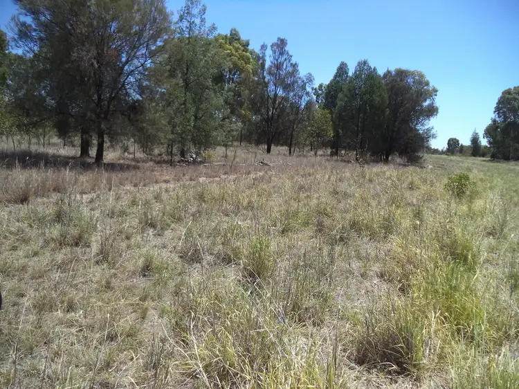 Fifth view of Homely rural property listing, 513 Old Cameby Road, Miles QLD 4415