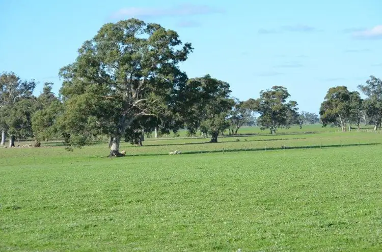 Main view of Homely rural property listing, 49 Burkes Road, Naracoorte SA 5271
