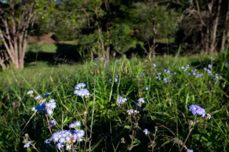 Seventh view of Homely land listing, 6/56 Kentish Road, Kiels Mountain QLD 4559