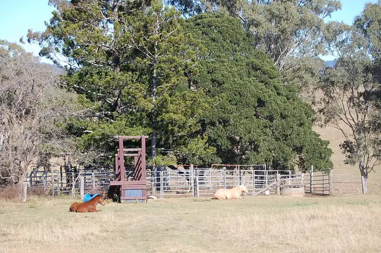 Seventh view of Homely rural property listing, 1130 Dyraaba Road, Dyraaba NSW 2470