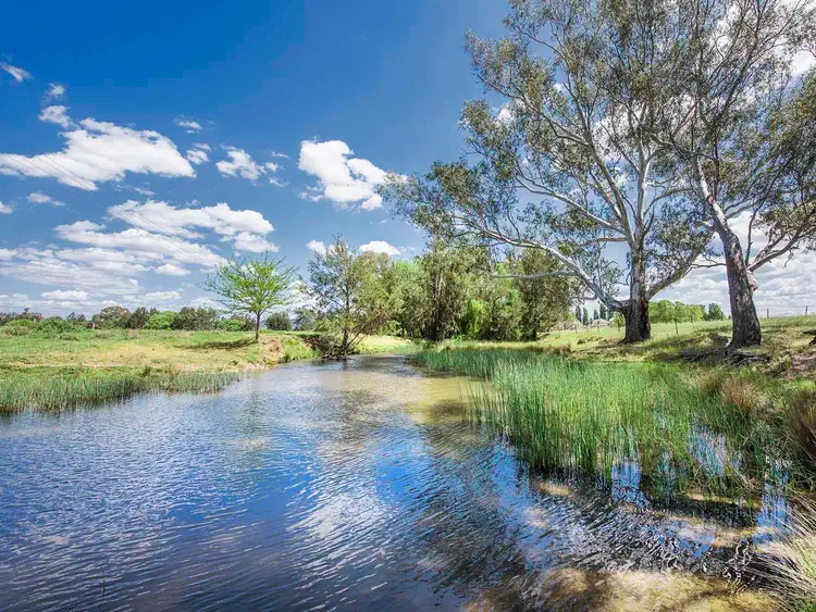 344 Wilbetree Road, Mudgee NSW 2850