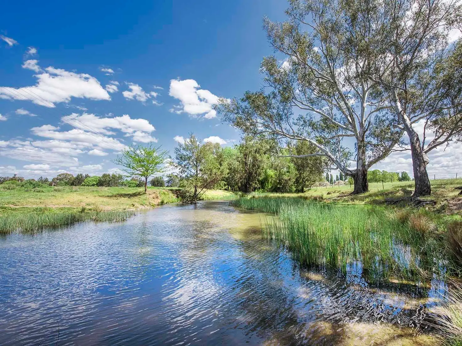 Main view of Homely rural property listing, 344 Wilbetree Road, Mudgee NSW 2850