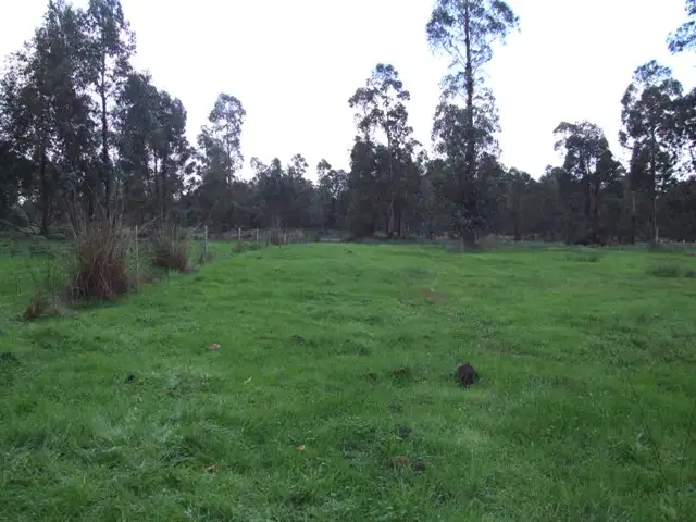 Seventh view of Homely rural property listing, Lot 40 WOYLIE ROAD, Northcliffe WA 6262