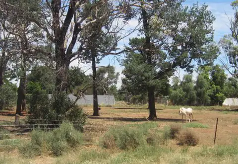 46-48 Devlin St, Matong NSW 2652