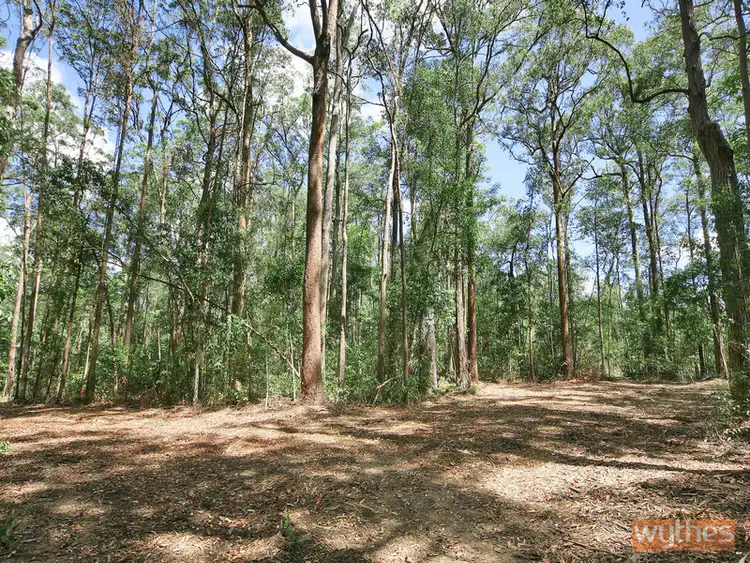 Third view of Homely land listing, LOT 7 Figbird Court, Lake Macdonald QLD 4563
