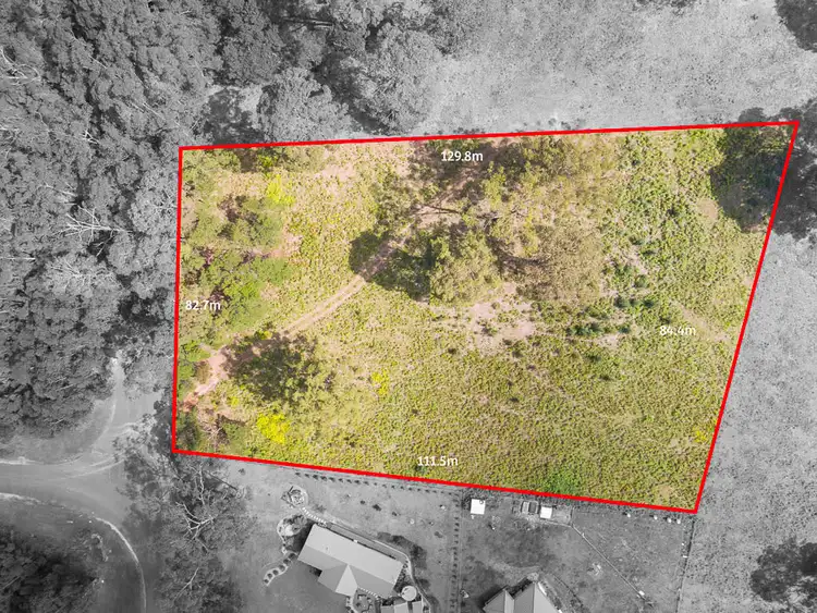 Third view of Homely land listing, 38 Curtis Road, Catalina NSW 2536