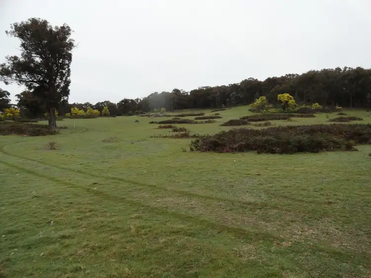 Sixth view of Homely rural property listing, 724 Yenschs Road, Lankeys Creek NSW 2644