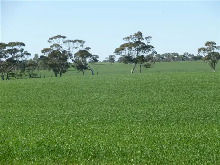 Second view of Homely rural property listing, 146 Pascoe Road, Coonalpyn SA 5265