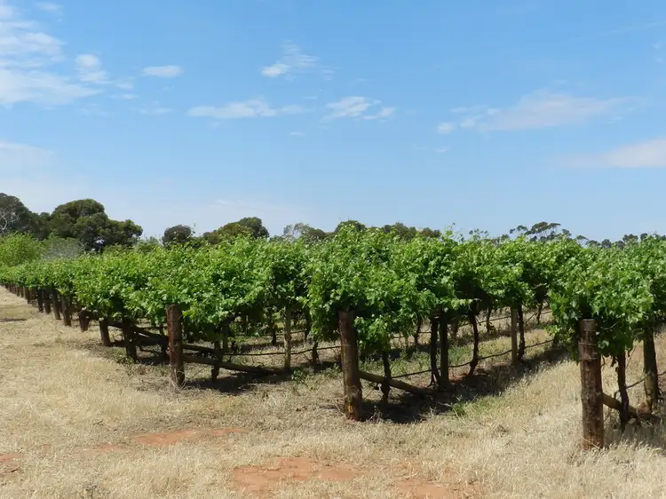 Main view of Homely land listing, 201, 202 & 203 Wilkinson Road, Loveday SA 5345