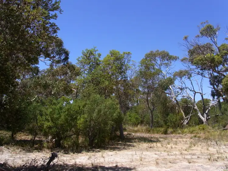 Sixth view of Homely land listing, 1181 Dolphin Sands Road, Dolphin Sands TAS 7190