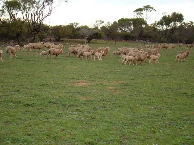 Second view of Homely rural property listing, Lot 2 Murphy-Yetna Road, Nanson WA 6532