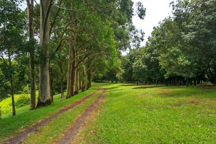 Fifth view of Homely rural property listing, # 28 General Stubbs Drive, Rosebank NSW 2480